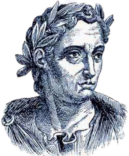Plinio el Joven